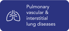 Pulmonary vascular & interstitial lung diseases